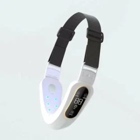 Microcurrent Face Massager EMS LED Photon Therapy V Shape (Style: USB, Color: White)